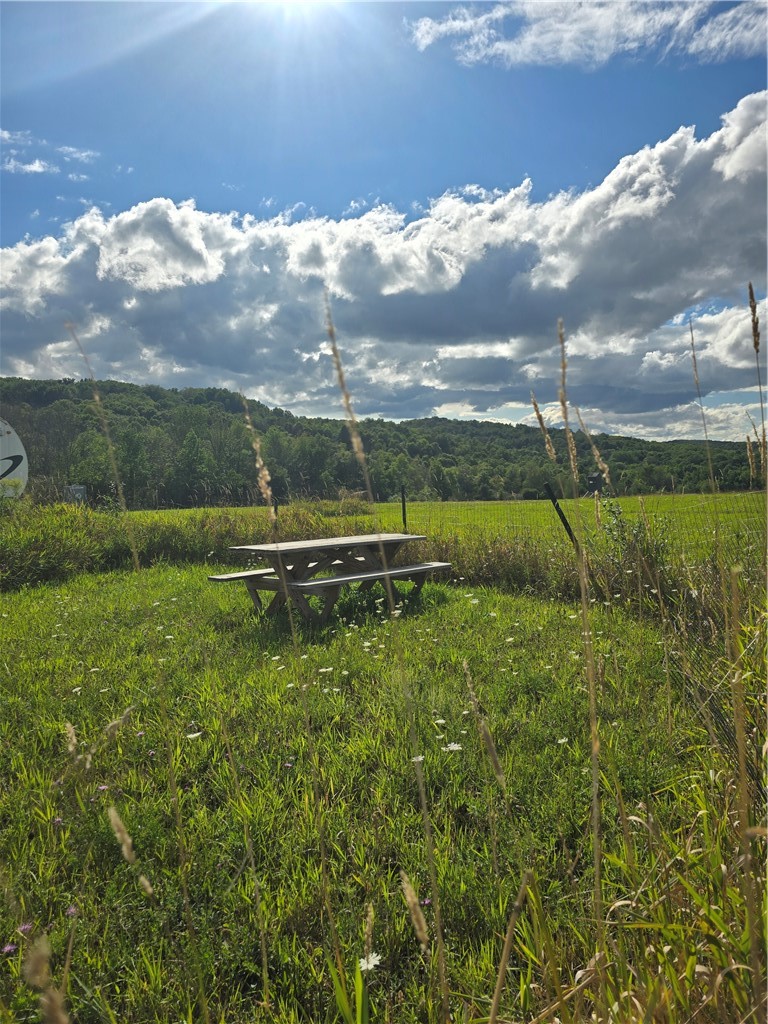 Potter Road Greenwood, NY 14839 - Photo 2 of 26