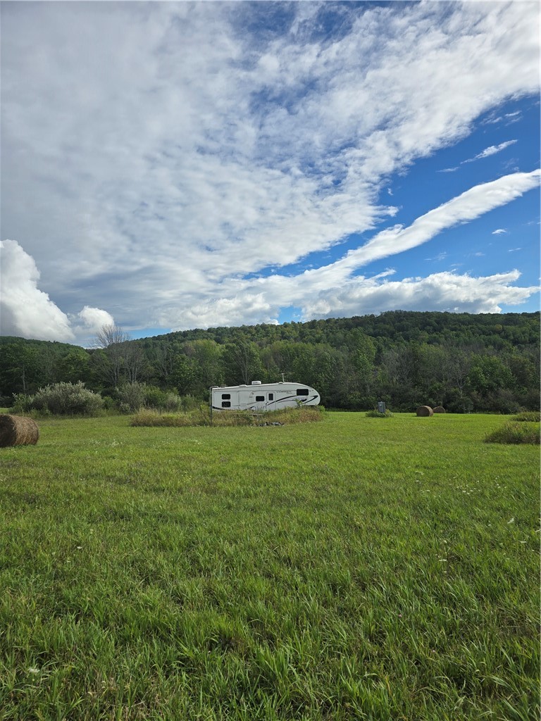 Potter Road Greenwood, NY 14839 - Photo 3 of 26