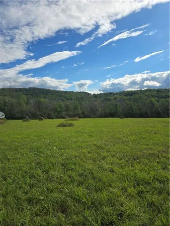 $53,500 | Potter Road, Greenwood, NY 14839