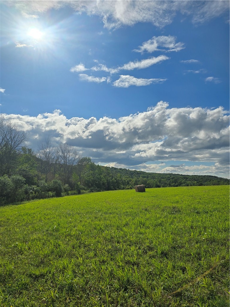 Potter Road Greenwood, NY 14839 - Photo 9 of 26