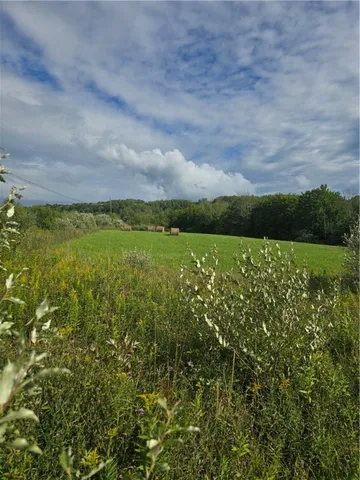 $53,500 | Potter Road, Greenwood, NY 14839