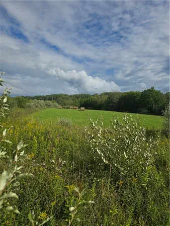 $53,500 | Potter Road, Greenwood, NY 14839