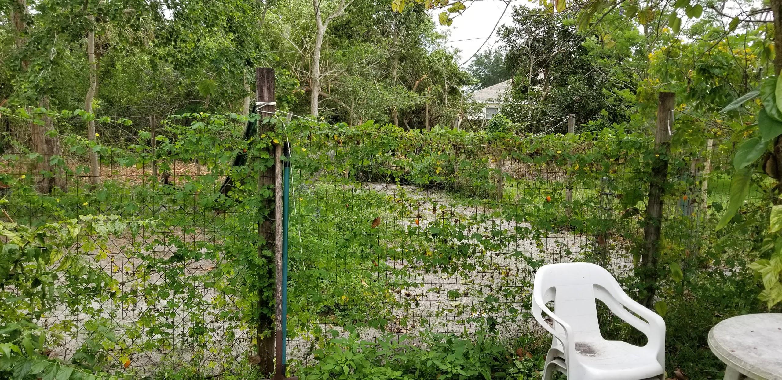 1562 Southwest Gager Road Port St. Lucie, FL 34953 - Photo 38 of 39 Gager Garden in yard