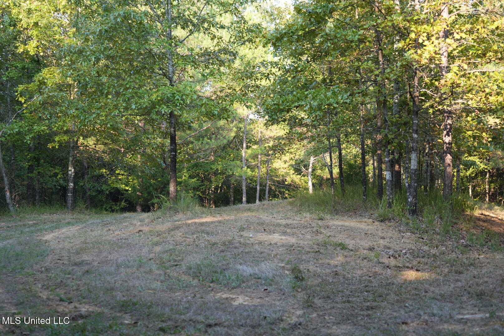 Vfw Road Grenada, MS 38901 - Photo 11 of 15 DSC00253