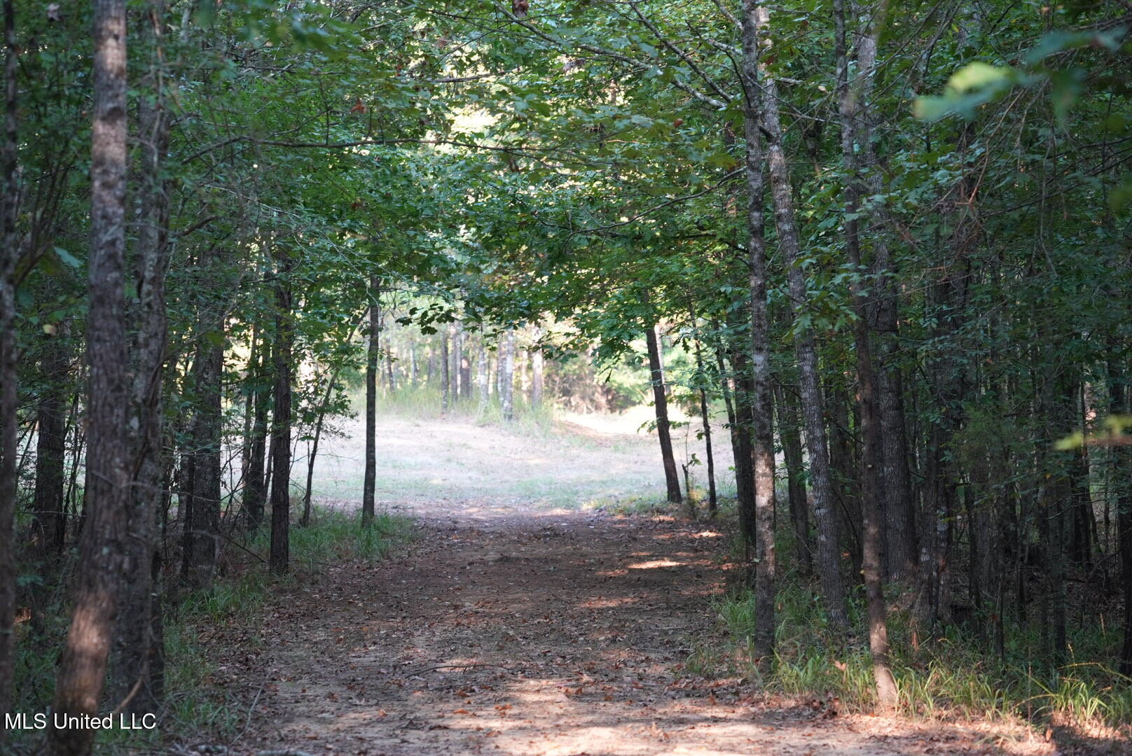 Vfw Road Grenada, MS 38901 - Photo 12 of 15 DSC00250