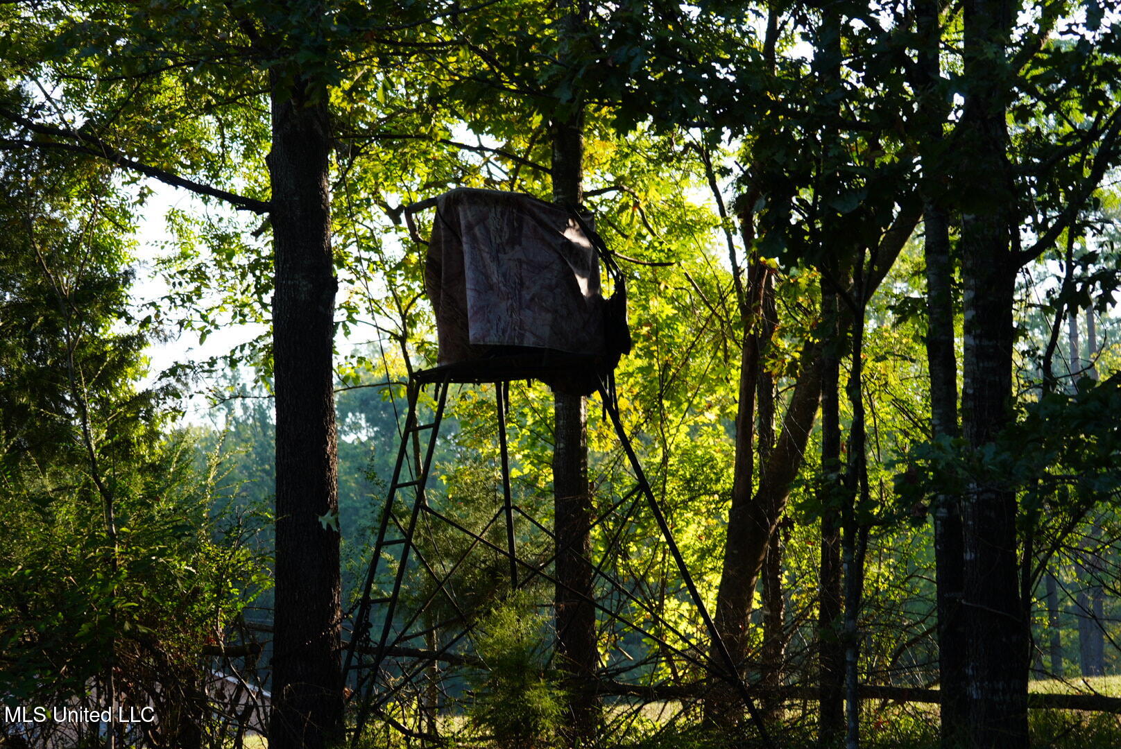 Vfw Road Grenada, MS 38901 - Photo 13 of 15 DSC00247