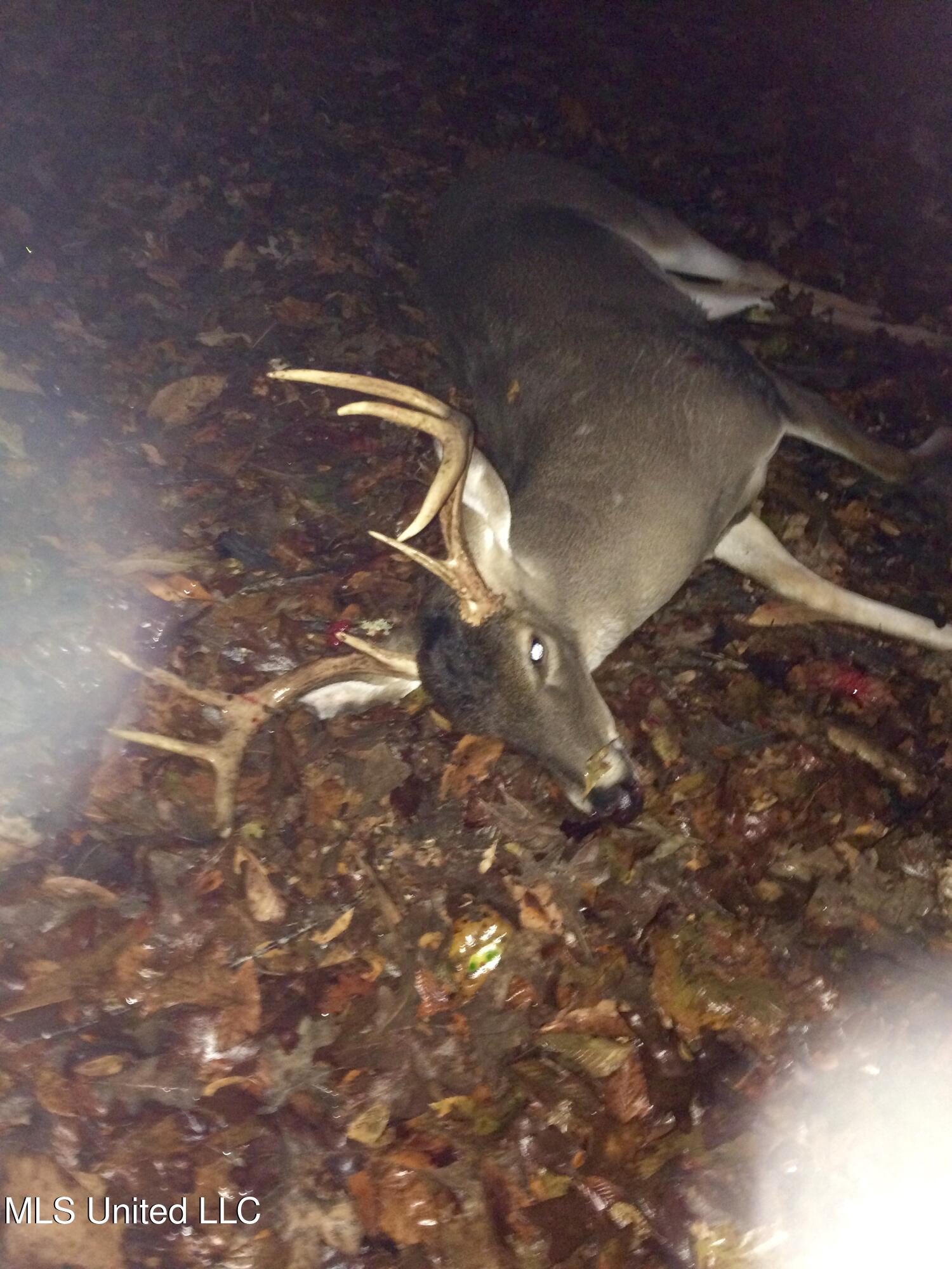 Vfw Road Grenada, MS 38901 - Photo 15 of 15 IMG_2309