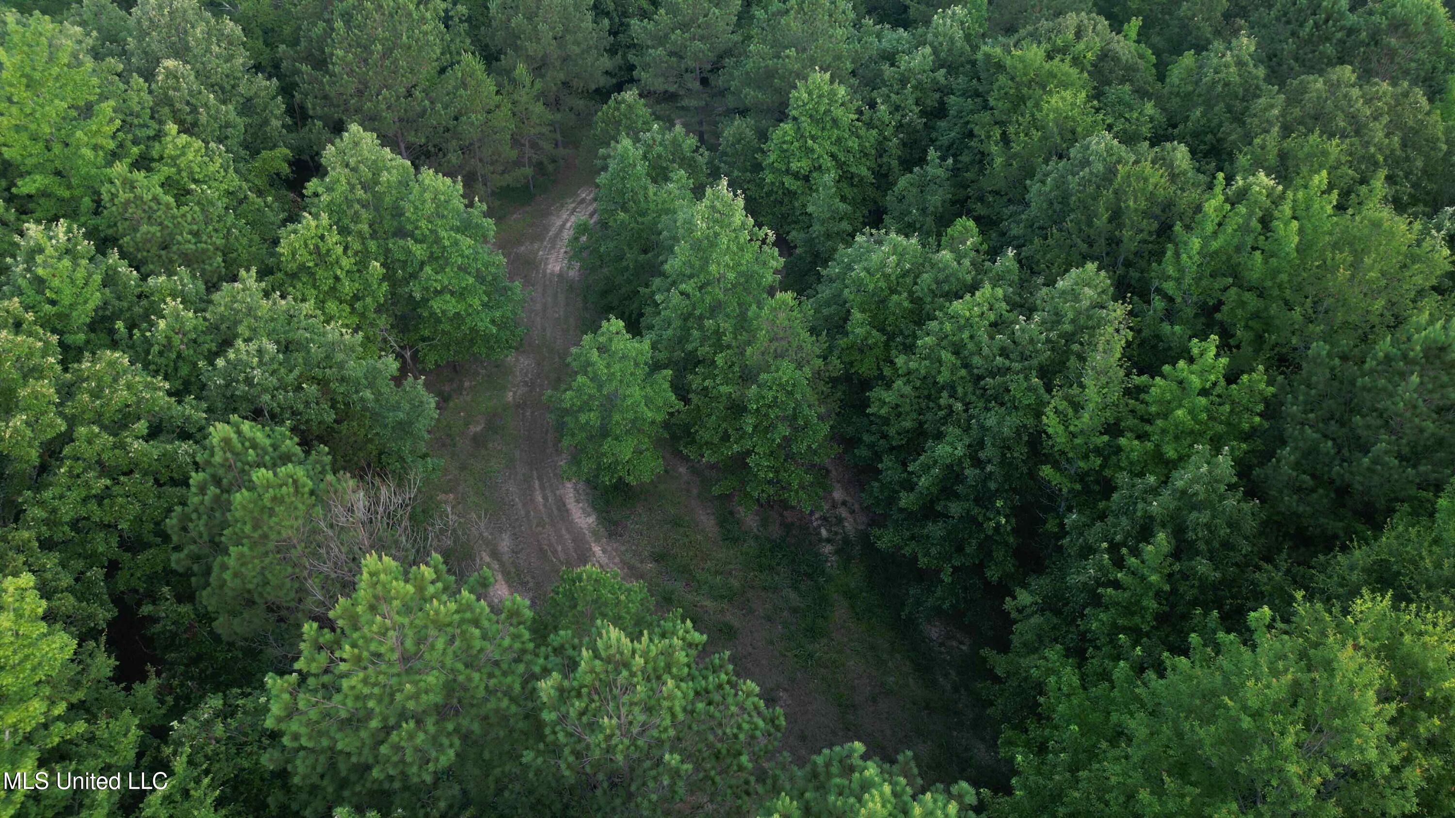 Vfw Road Grenada, MS 38901 - Photo 2 of 15 dji_fly_20250625_060444_707_175085769208