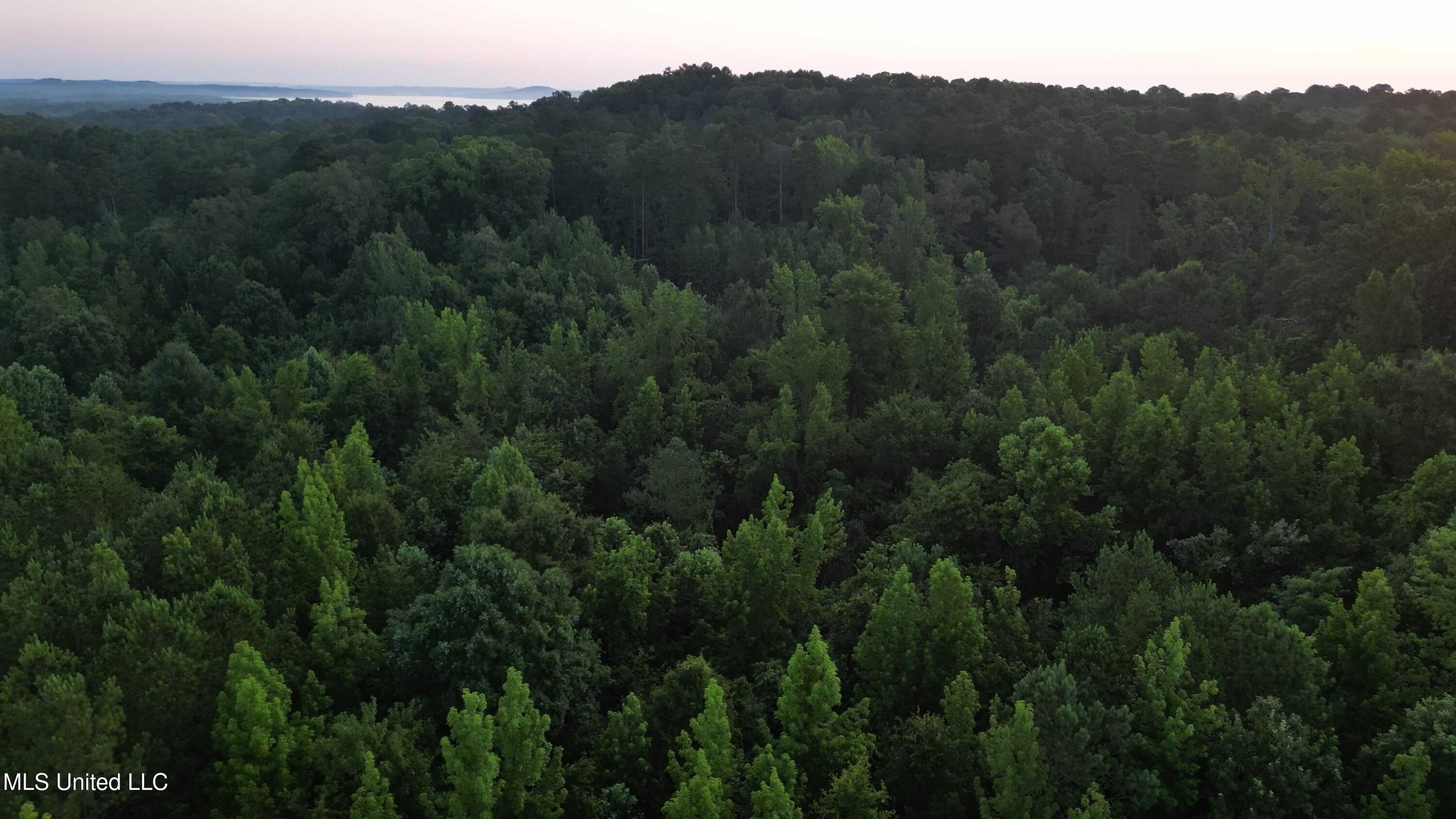 Vfw Road Grenada, MS 38901 - Photo 3 of 15 dji_fly_20250625_060456_708_175085769175