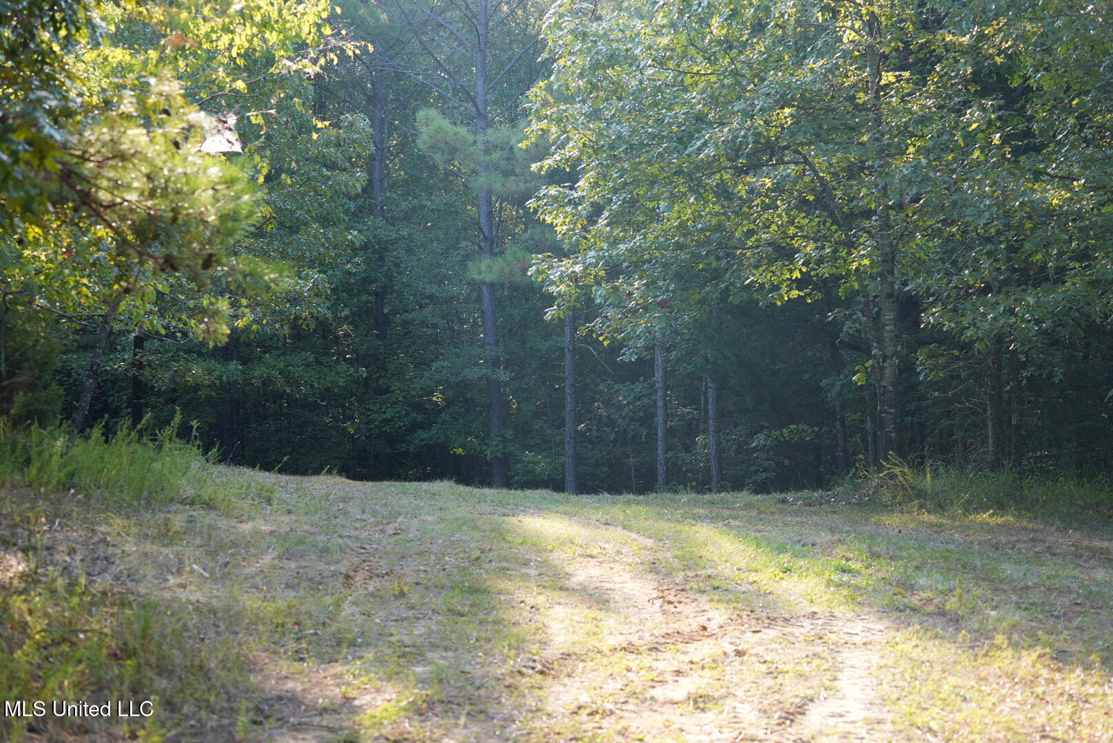 Vfw Road Grenada, MS 38901 - Photo 8 of 15 DSC00260