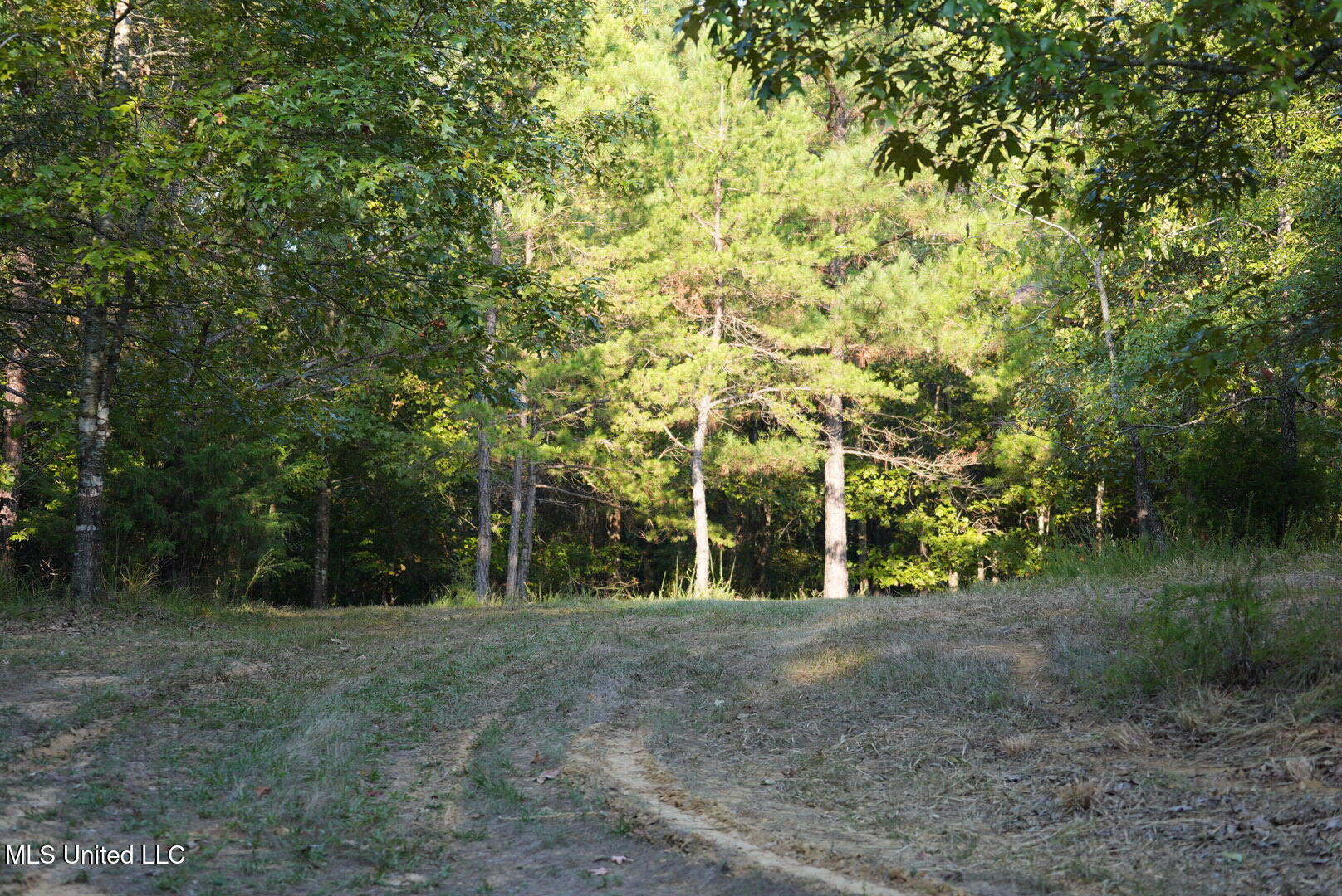 Vfw Road Grenada, MS 38901 - Photo 9 of 15 DSC00255