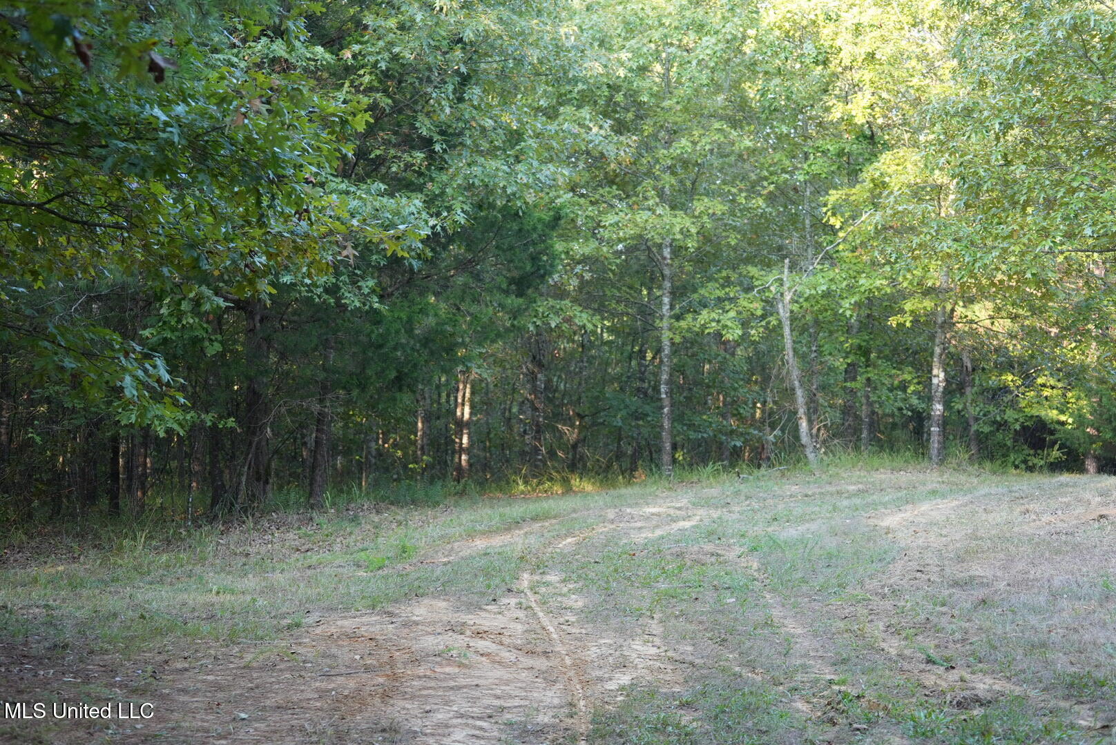Vfw Road Grenada, MS 38901 - Photo 10 of 15 DSC00254