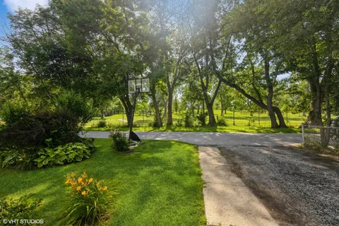 a view of a park with large trees
