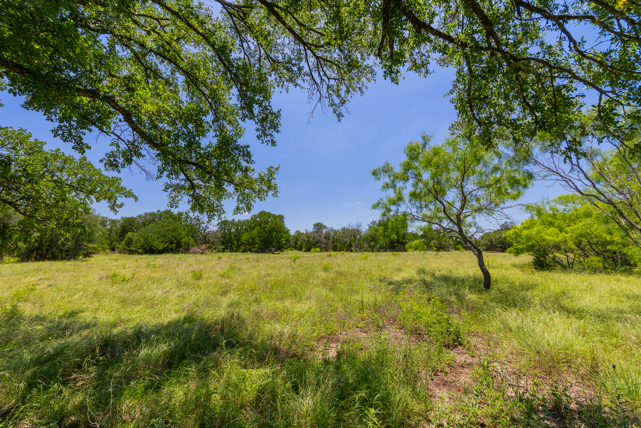 180 72 Ac Road Purmela, TX 76566 - Photo 3 of 33