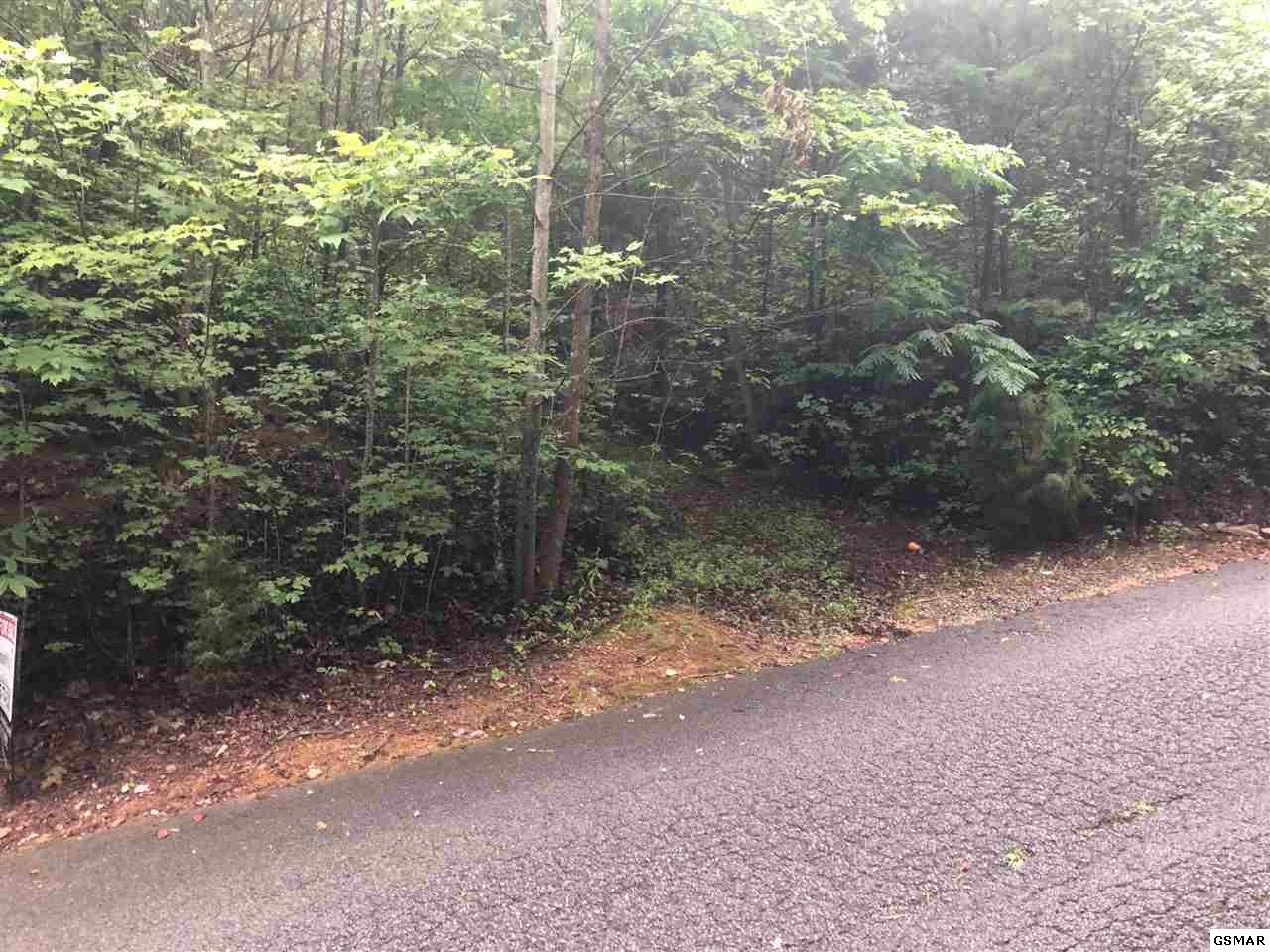 0 Sonshine Ridge Road Cosby, TN 37722 - Photo 2 of 4