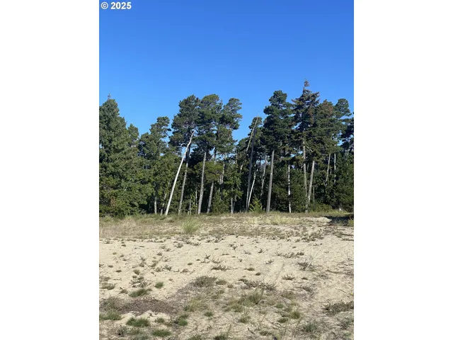 a view of a yard with trees in front of it