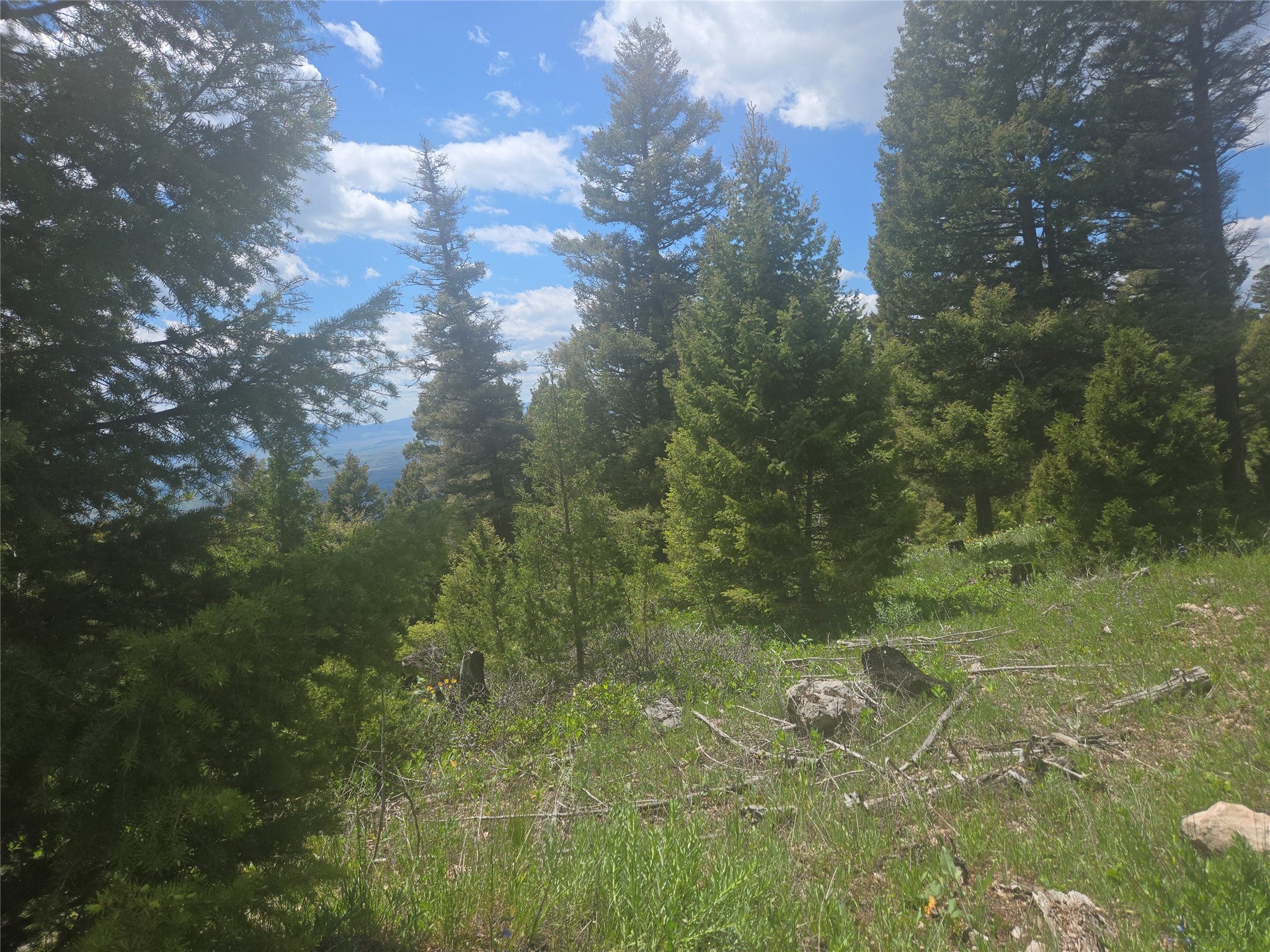 2 Big Sky Ridge Road Drummond, MT 59832 - Photo 13 of 24 Gallery Image 13
