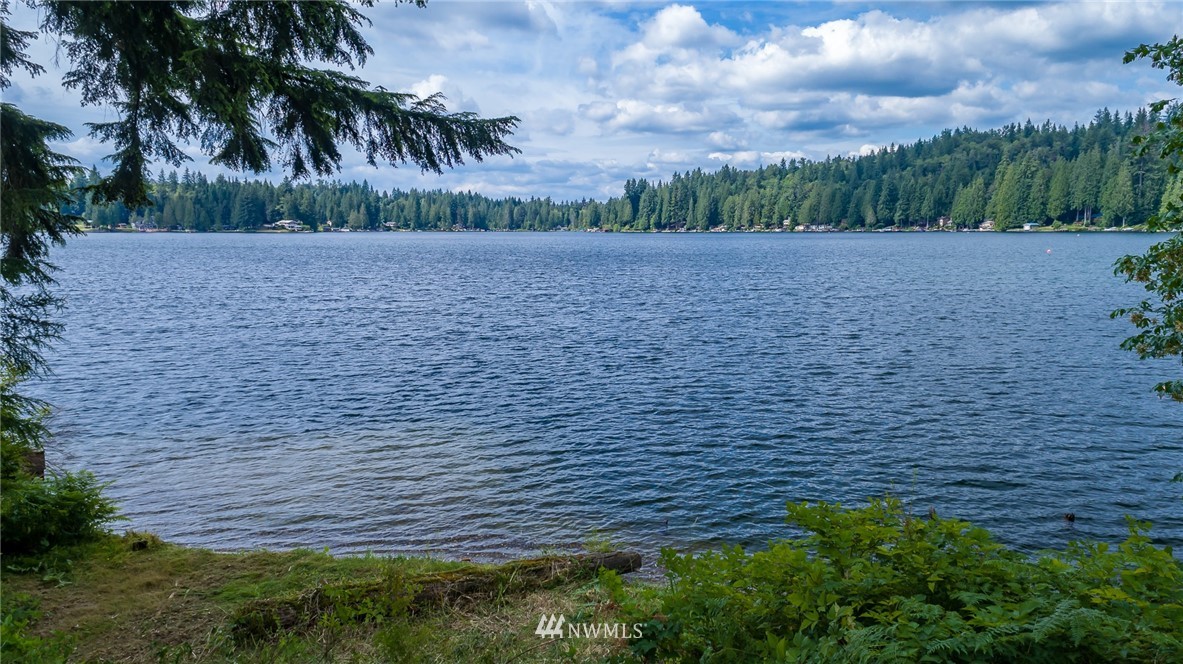 24123 South Lake Roesiger Road Snohomish, WA 98290 - Photo 2 of 7