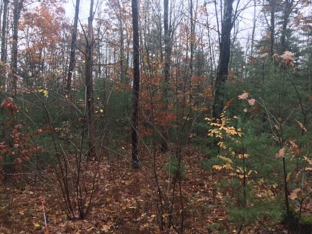 0 Gould Road Biddeford, ME 04005 - Photo 10 of 14 Photo