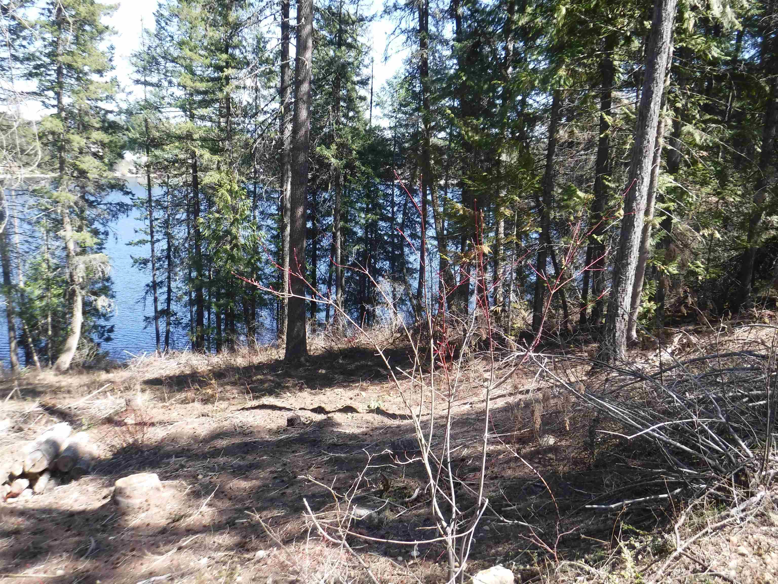 Xx Davis Lake Road Usk, WA 99180 - Photo 3 of 21 Gallery Image 3
