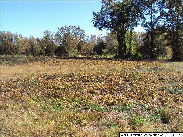 1 Dee Road Batesville, MS 38606 - Photo 1 of 1 Primary Photo