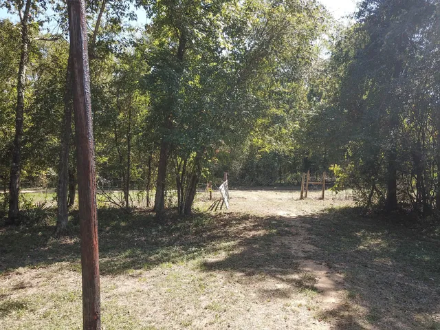 a view of a yard with a tree