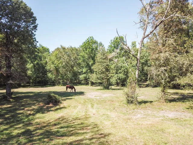a view of a yard with a tree