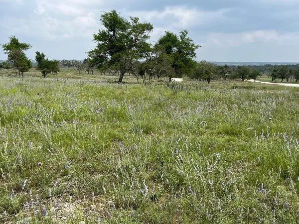 $241,110 | Lot 8 Sweet Wind Lane, Unit 8, Harper, TX 78631