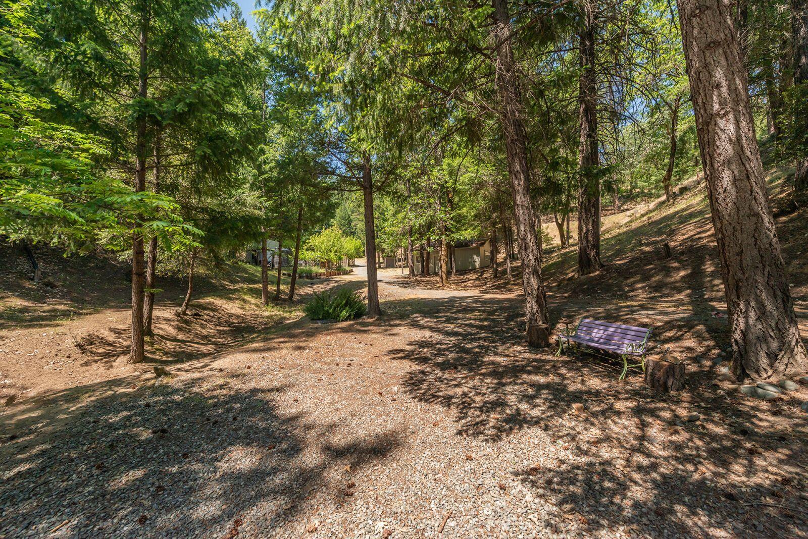891 Salt Flat Road Lewiston, CA 96052 - Photo 31 of 50