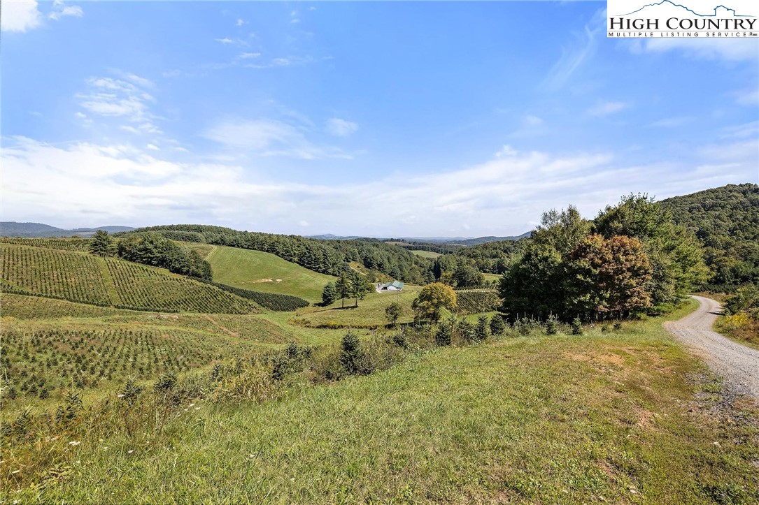1453 Bare Knob Road Jefferson, NC 28640 - Photo 44 of 47 Gallery Image 44