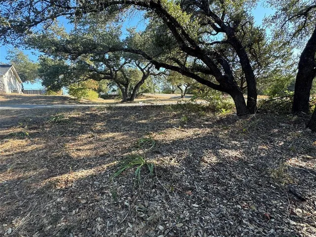 a view of a tree in the middle of a yard