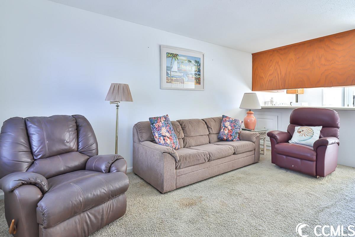 100 Ye Olde Kings Highway, Unit R North Myrtle Beach, SC 29582 - Photo 3 of 25
