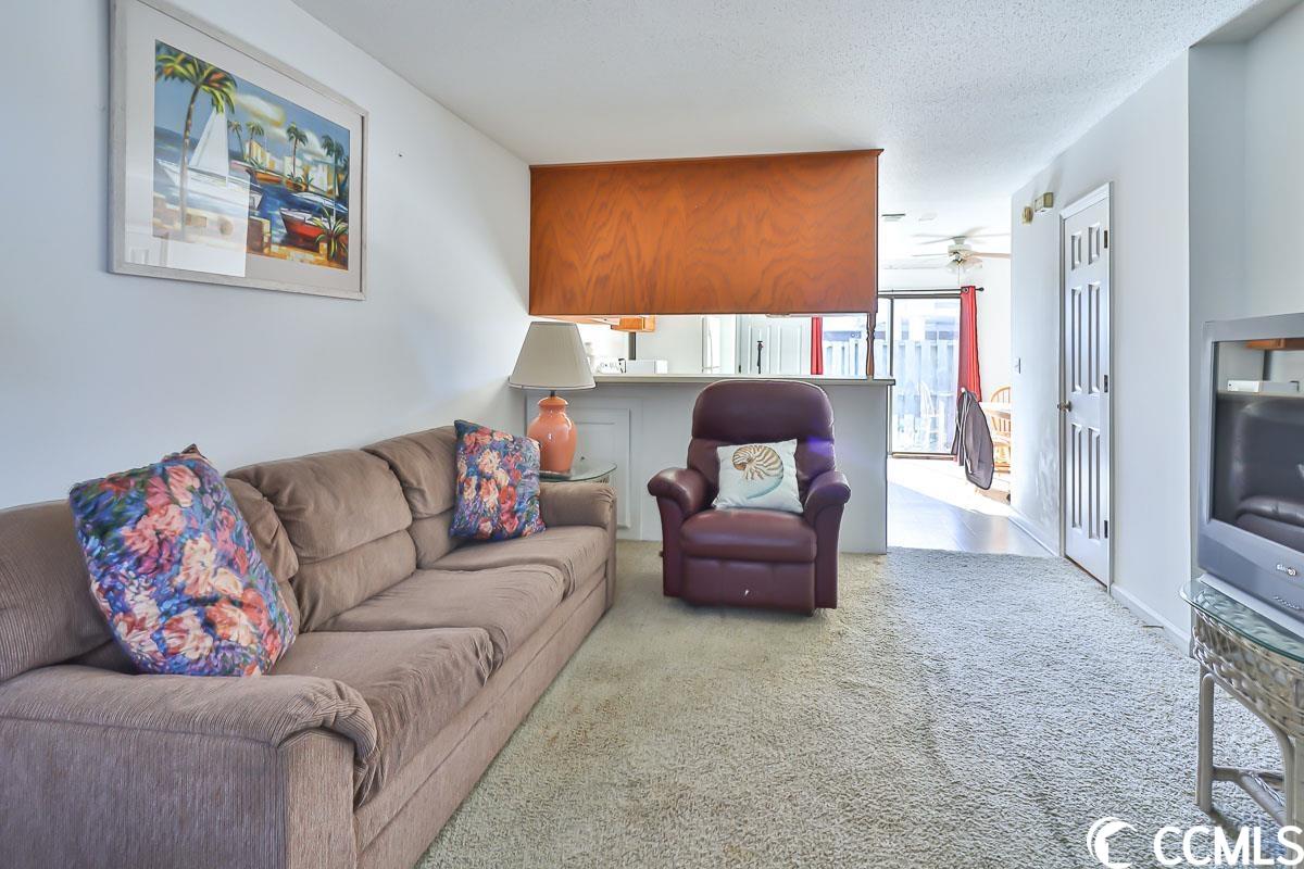 100 Ye Olde Kings Highway, Unit R North Myrtle Beach, SC 29582 - Photo 5 of 25
