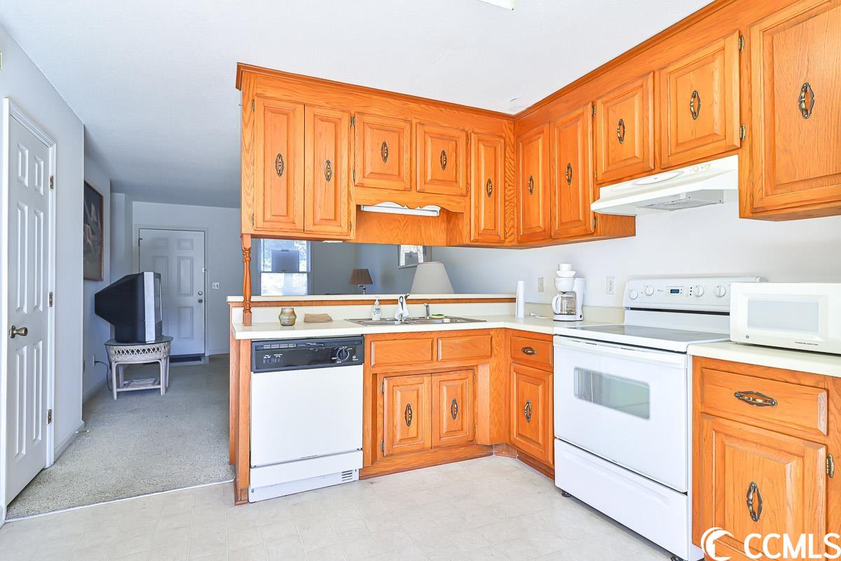 100 Ye Olde Kings Highway, Unit R North Myrtle Beach, SC 29582 - Photo 9 of 25