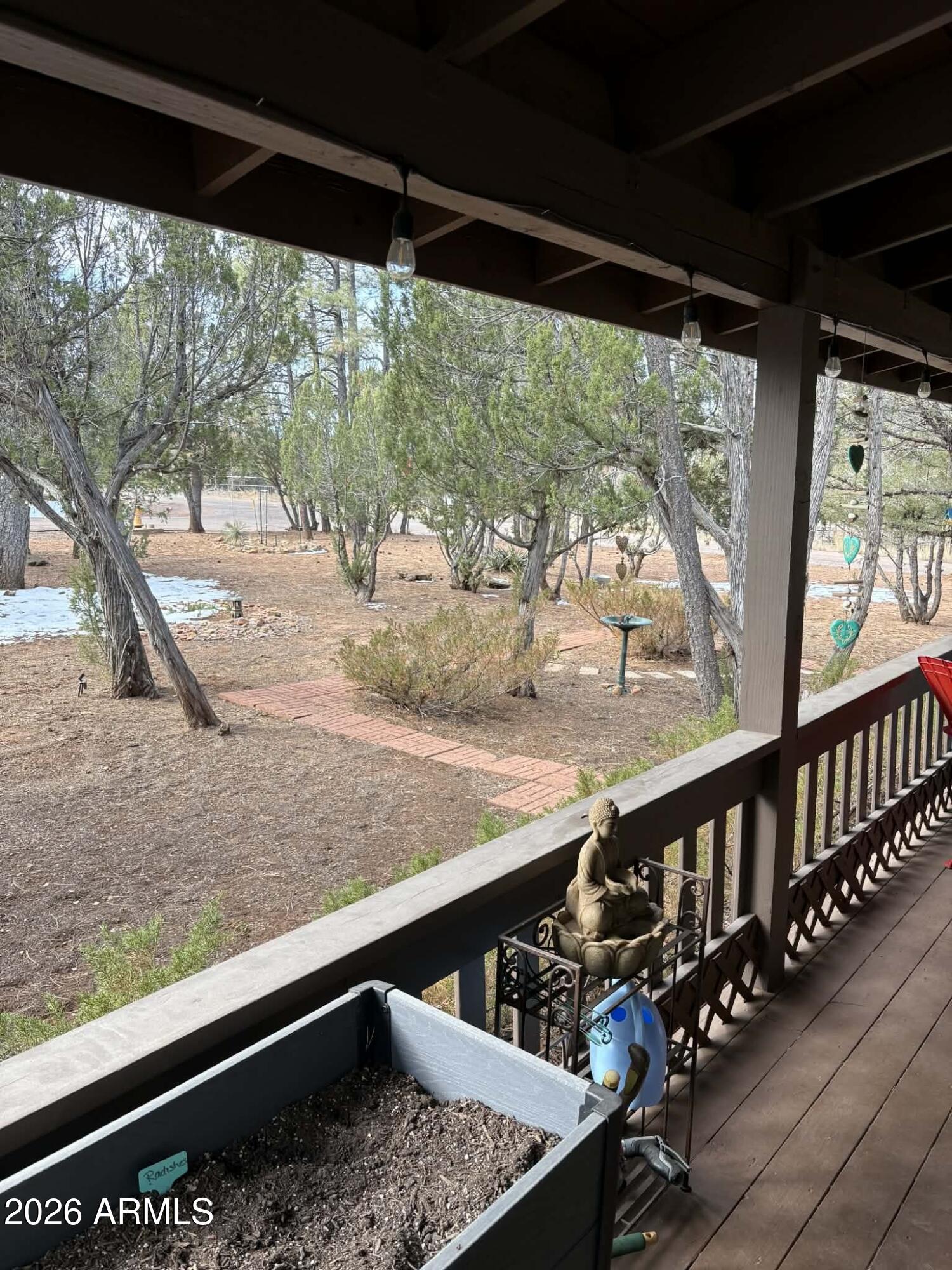 2237 Country Club Drive Overgaard, AZ 85933 - Photo 4 of 31 1000004606