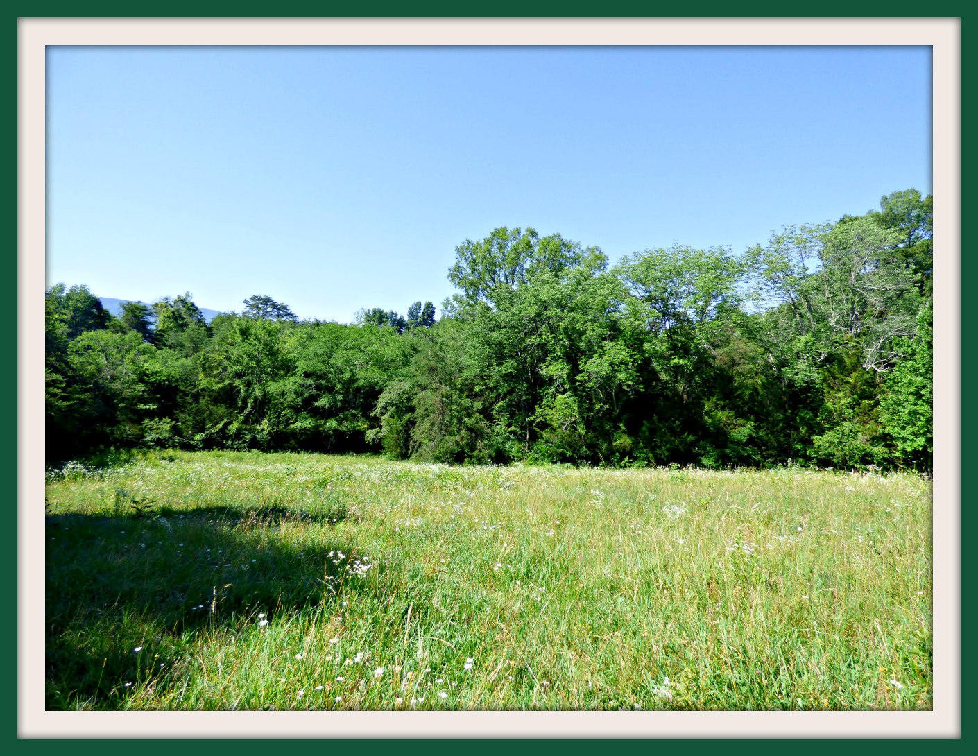 1 Swannsylvania Road Dandridge, TN 37725 - Photo 8 of 19 Gallery Image 8