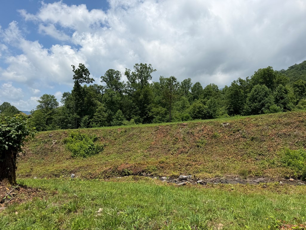 1446 Muskrat Creek Road Hayesville, NC 28904 - Photo 80 of 108