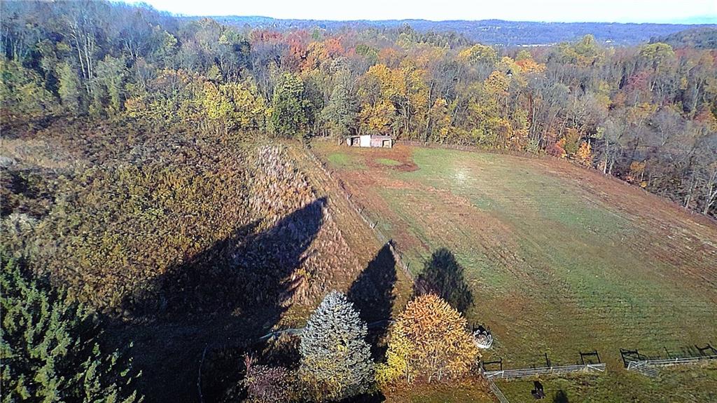 272 Shaffer Road Beaver Falls, PA 15010 - Photo 35 of 38 a view of a lake in middle of the forest