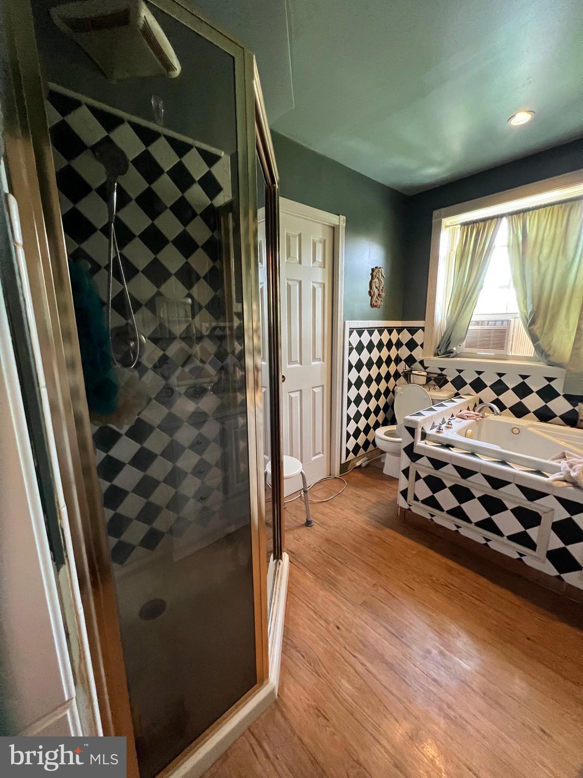 8640 Lowell Road Pomfret, MD 20675 - Photo 6 of 18 Separate Whirlpool Tub and Shower Stall