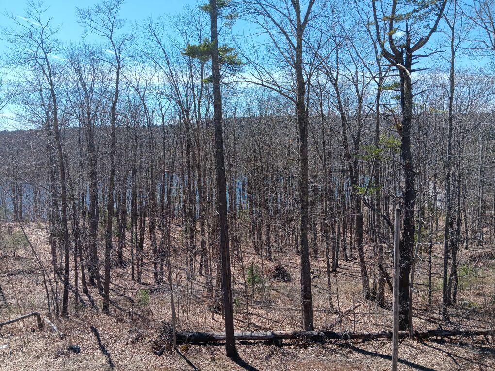0 Robbins Road Belfast, ME 04915 - Photo 20 of 20 1000029048