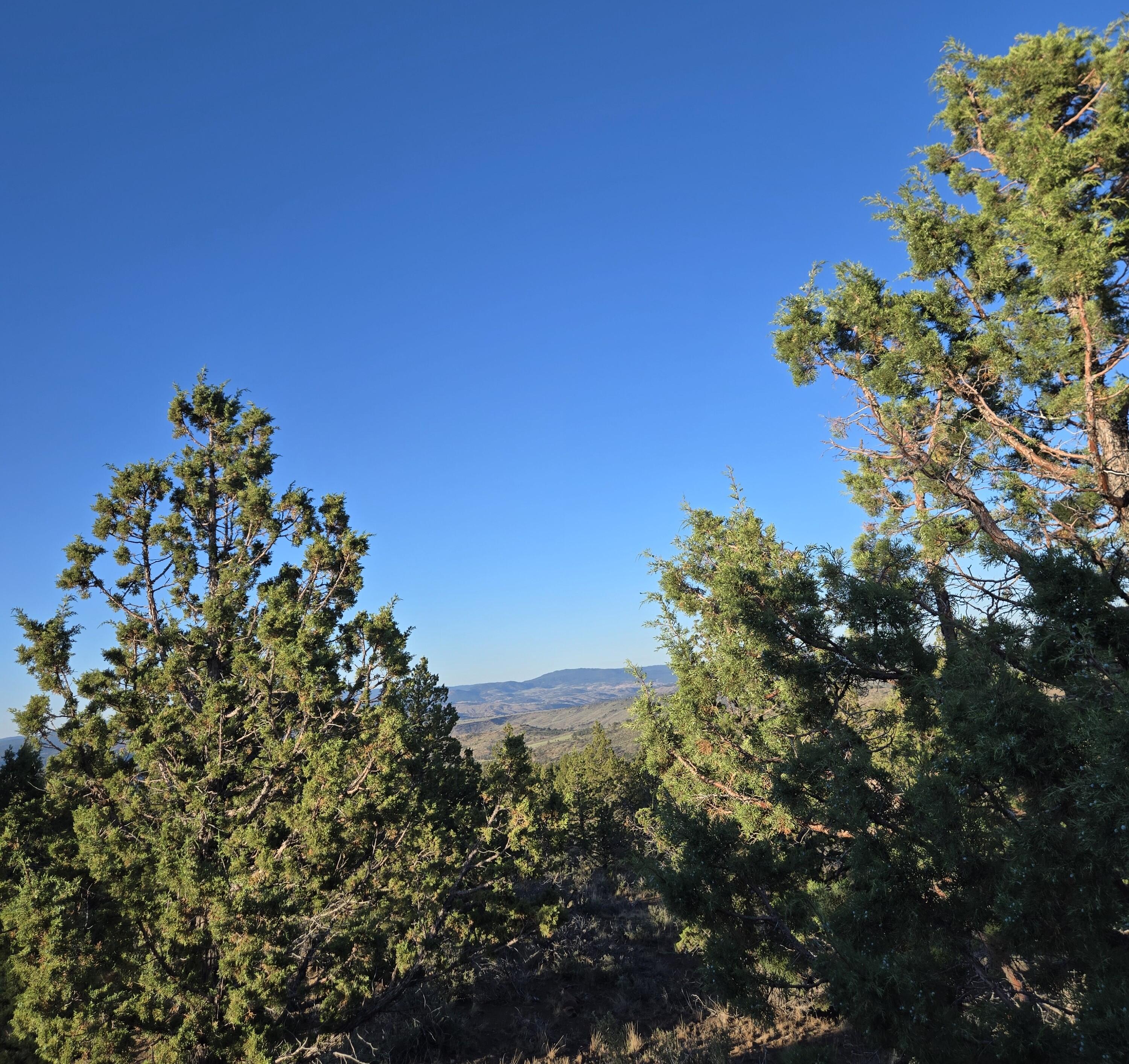20102 Osprey Road, Unit 800 Prineville, OR 97754 - Photo 14 of 20 20250711_193915