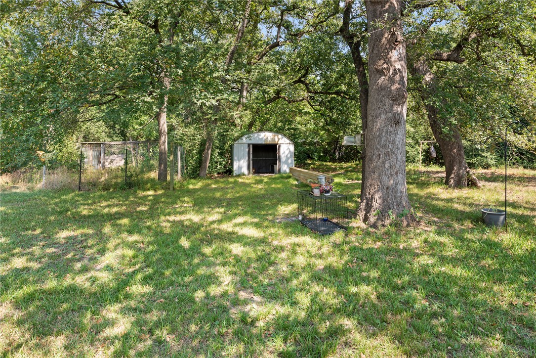 8277 Shady Lane Bryan, TX 77808 - Photo 19 of 21 a large tree in the middle of a forest