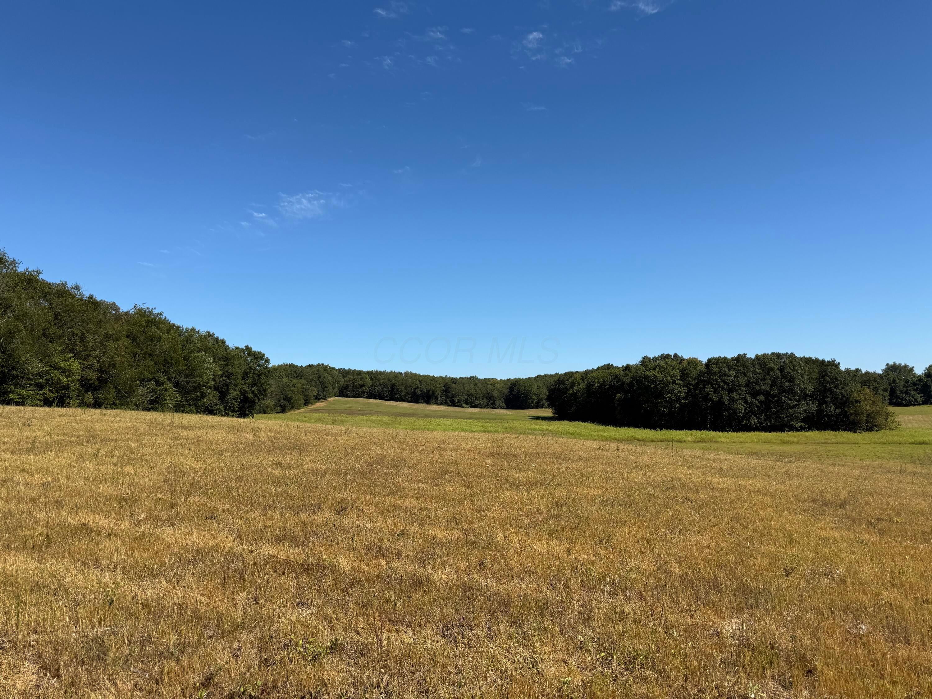 0 Dog Hollow Road, Unit LOT #5 Utica, OH 43080 - Photo 7 of 24