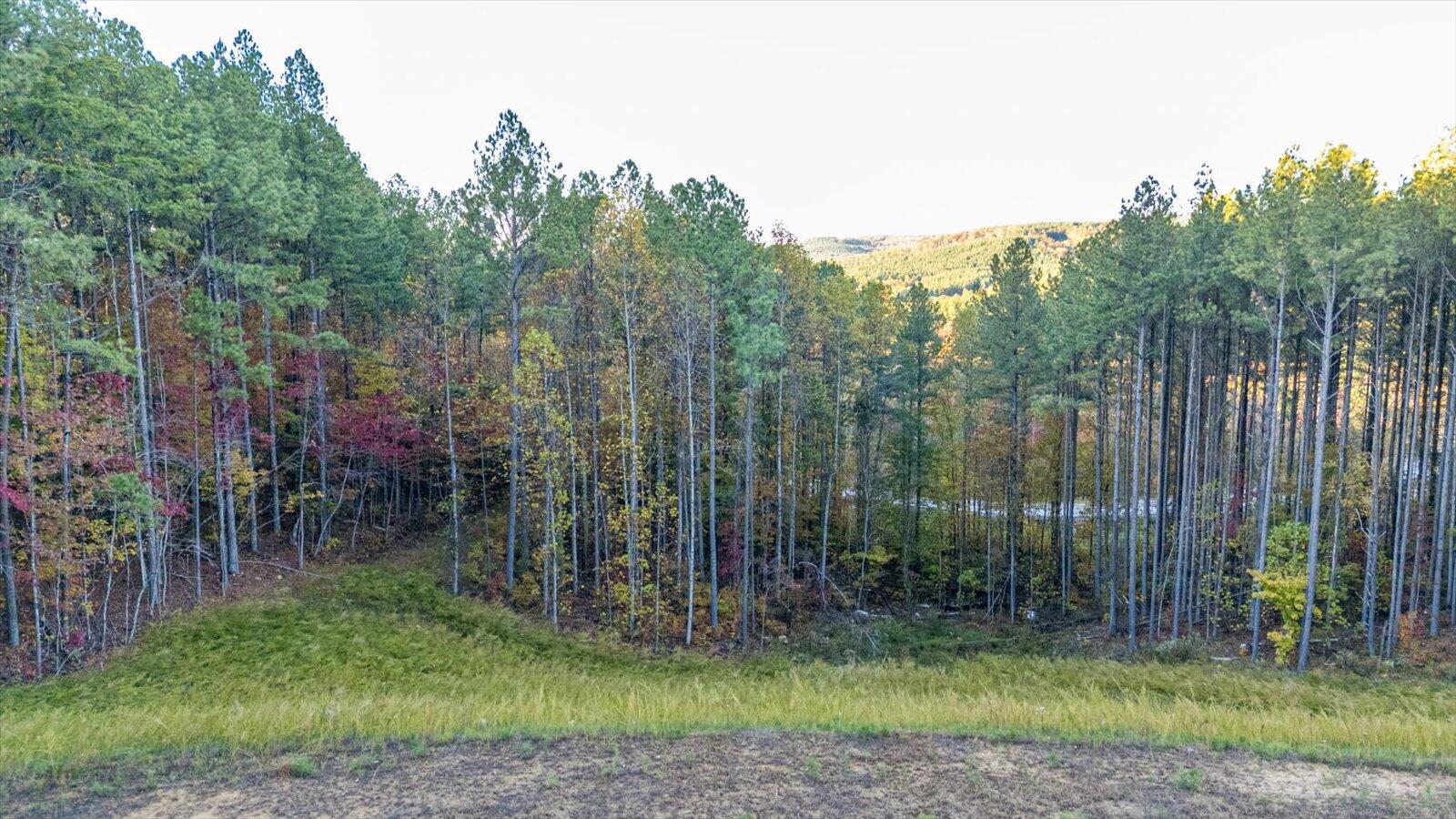 0 Split Rail Way, Unit LOT 1127 Guild, TN 37340 - Photo 12 of 25 12-1127 Split Rail Way-12