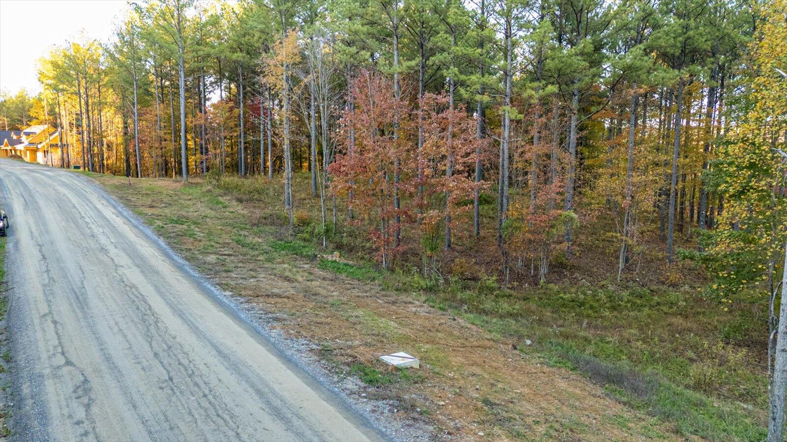 0 Split Rail Way, Unit LOT 1127 Guild, TN 37340 - Photo 3 of 25 03-1127 Split Rail Way-3