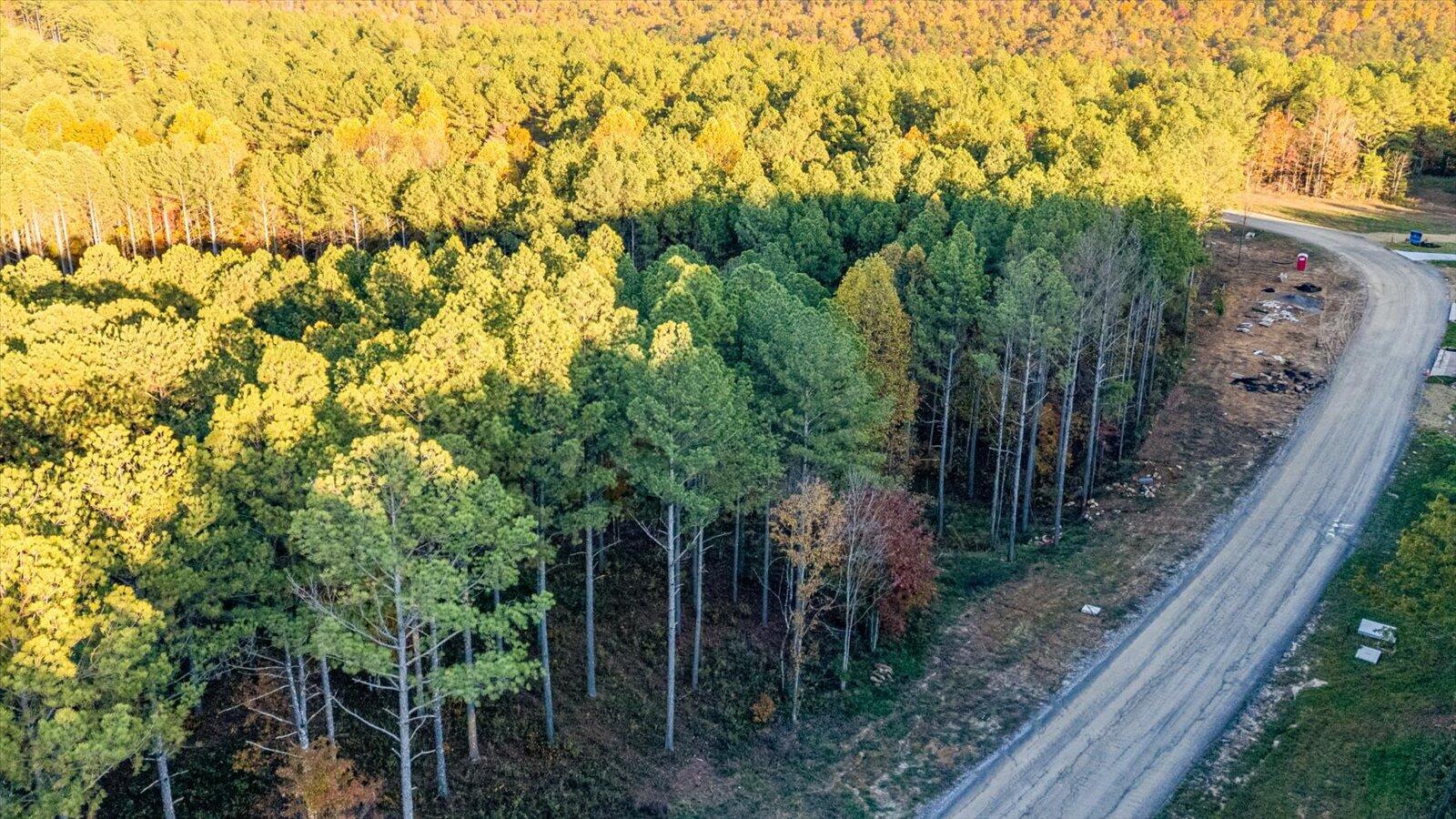 0 Split Rail Way, Unit LOT 1127 Guild, TN 37340 - Photo 4 of 25 04-1127 Split Rail Way-4