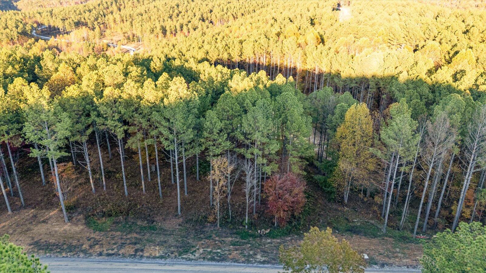 0 Split Rail Way, Unit LOT 1127 Guild, TN 37340 - Photo 5 of 25 05-1127 Split Rail Way-5