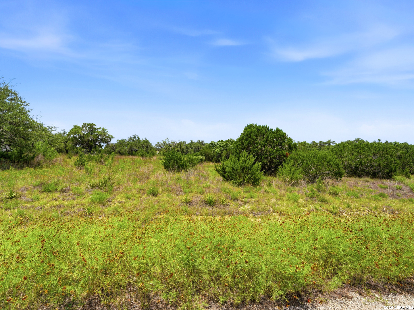 1030 Sunrise Place Spring Branch, TX 78070 - Photo 6 of 30