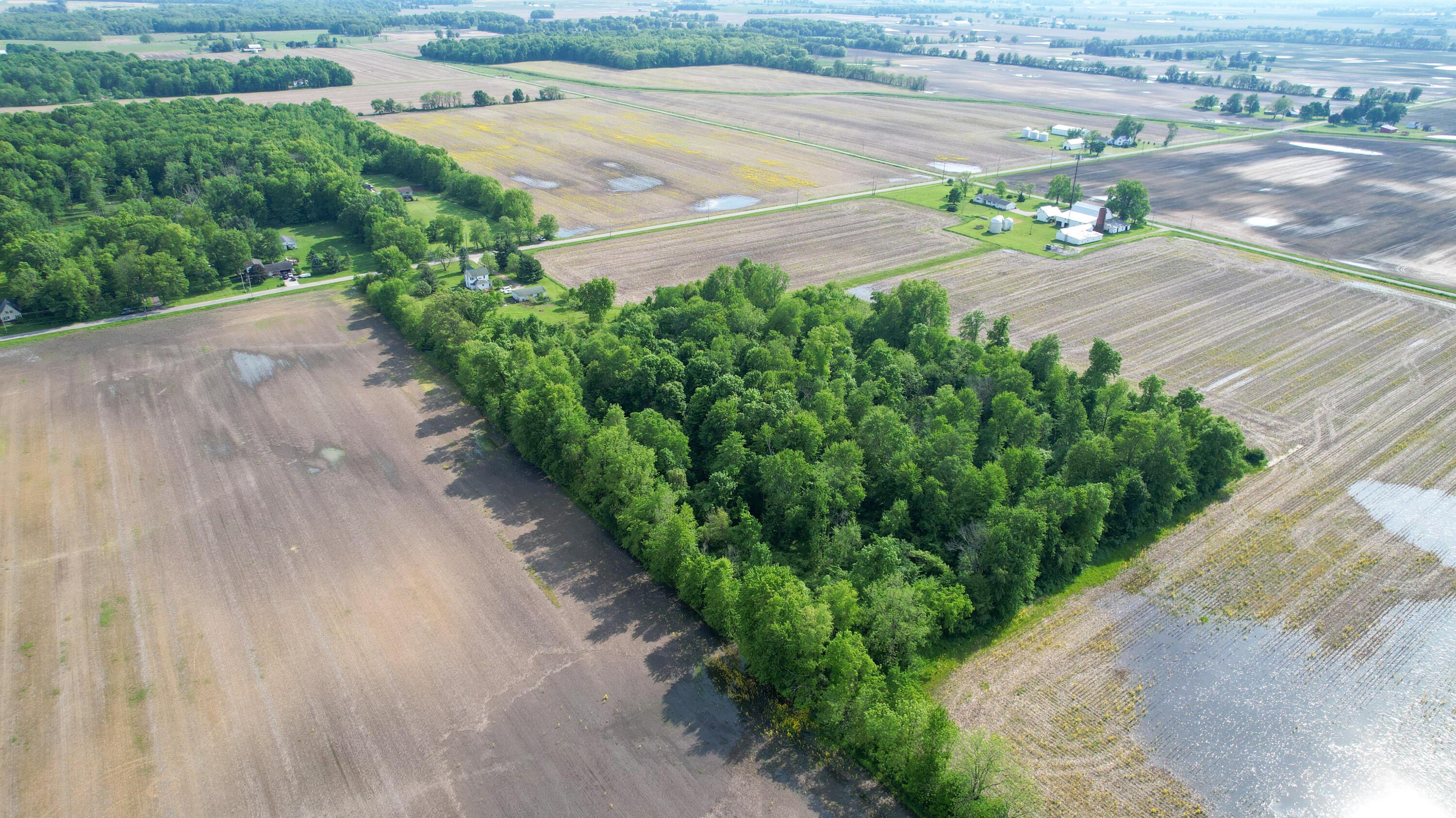 0 Marion-Williamsport Road East Caledonia, OH 43314 - Photo 9 of 11 DJI_0012