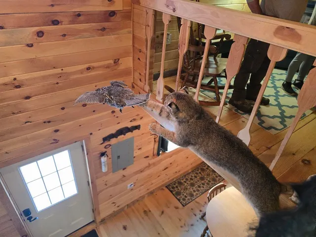 $350,000 | 642 Tucker Ridge Road, Springfield, ME 04487